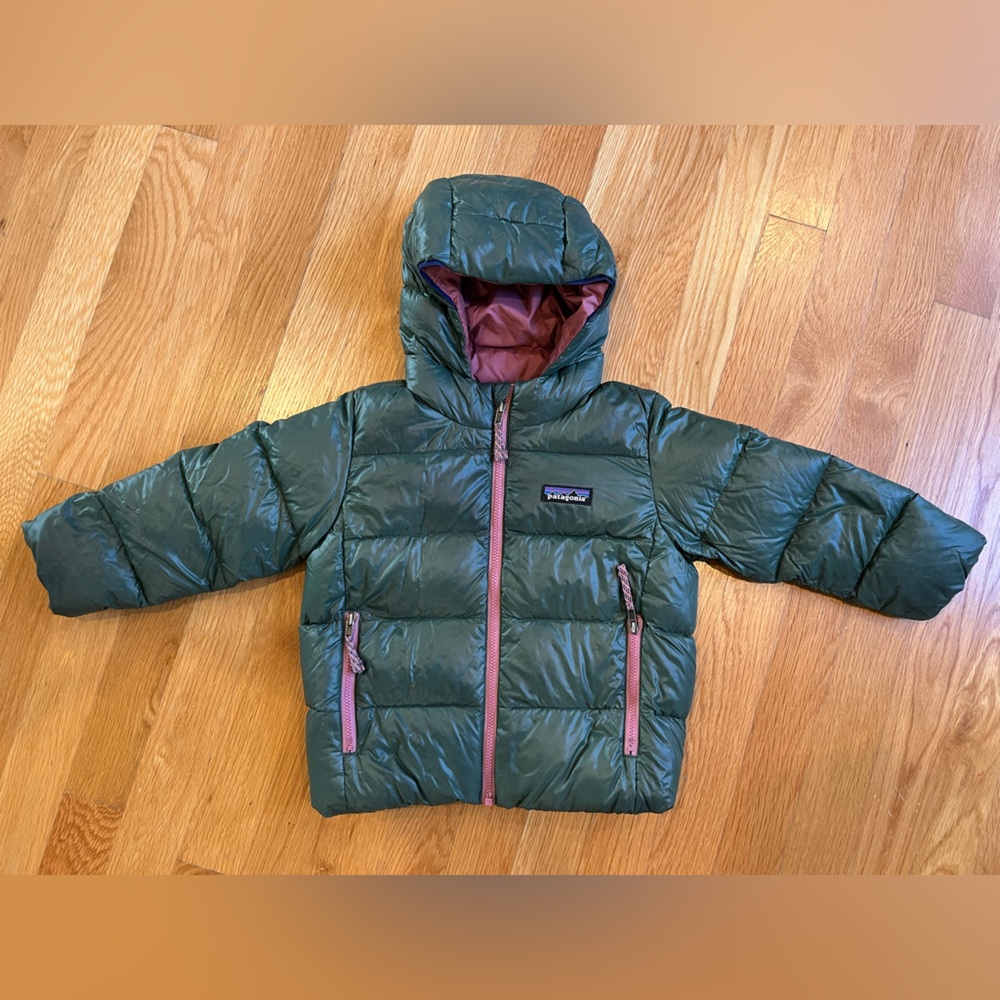 Patagonia Baby Hi-Loft Down Sweater Hoody in Green (Size 2T) - Retail $149